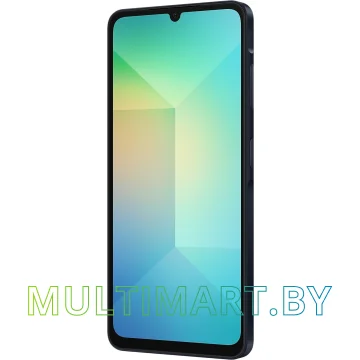 Смартфон Samsung Galaxy A06 SM-A065F 6GB/128GB (черный) картинка 5